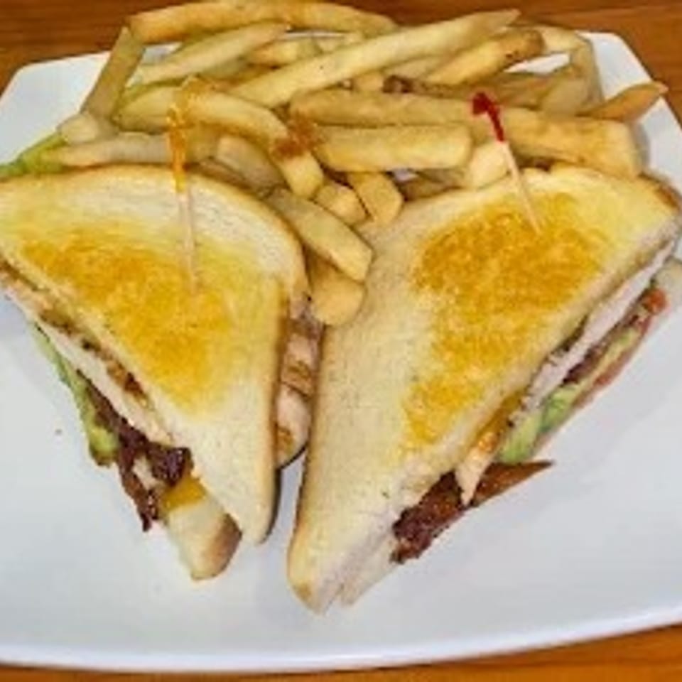 A grilled sandwich cut in half, served with a side of golden french fries on a white plate.