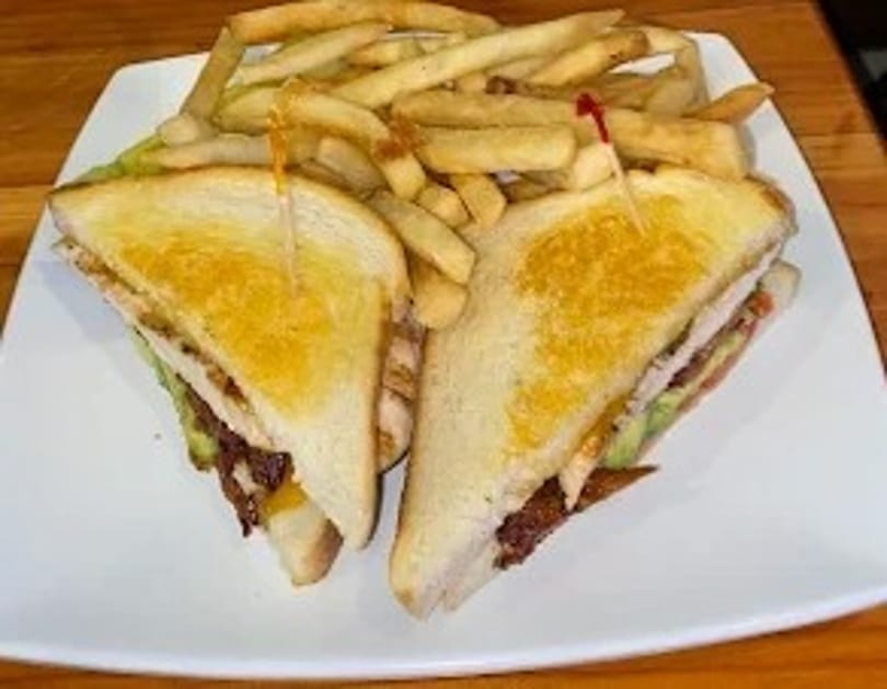A grilled sandwich cut in half, served with a side of golden french fries on a white plate.